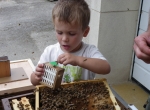 Recherche apiculteur saisonnier 2024