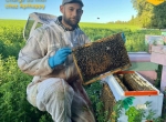 apiculteur / apicultrice terrain – production de masse