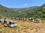 Ruches prêtes à produire BIO