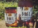 Différents miels en petit format – seaux (4 à 20 kg) et pots