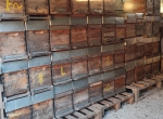 Ruchettes 5 et 6 cadres Dadant et autres matériels
