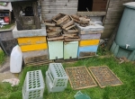 Lot Matériel Apiculture