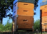 Ruches peuplées d’abeilles, neuves et complètes – 2026 | Jura Ain Saône