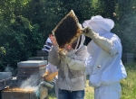 Formation initiation à l'apiculture