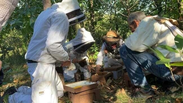 Maitriser l’élevage de reines – F2026/16 / 21, 22 et 23 septembre 2026