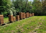 Reines à vendre 