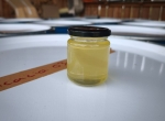 Miel d'acacia Bio 2026