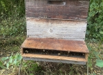 Vends 85 ruches Dadant 12 c peuplées