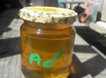Miel d'acacia légèrement teinté