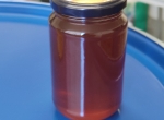 Miel de forêt 2026