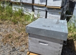 Vends 200 ruches complètes