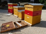 Cause déménagement vends ruches Dadant et matériel apiculture