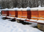 Formation Préparation à l'hivernage