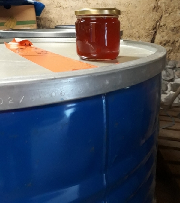 Miel de châtaignier Bio 2026