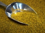 100 kg pollen polyfloral sec