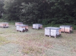 Recherche saisonnier septembre