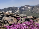 Miel des Pyrénées Ariégoises fūts et seaux 