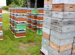 Matériels professionnels apiculture, ruches, idéal pour installation professionnelle