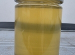 Vente miel en seau de 40 kg 