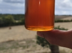 Miel de châtaignier 