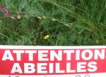 miel du jura recolte 2026   et acacia  2025