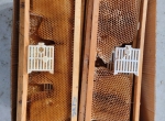 Cages scalvini sur cadres hausses