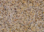 Pollen sec