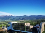 Camion plateau + Bobcat MT55