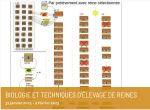 Biologie et techniques d’élevage de reines – F2027/1 - 29, 30 et 31 janvier 2027
