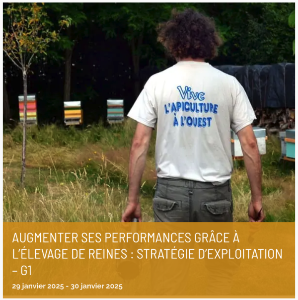 Augmenter ses performances grâce à l’élevage de reines : stratégie d’exploitation – F2027/3-1 + 3-2 - 8 et 9 février 2027 ou 9 et 10 février (confirmés) 2027