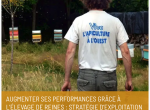Augmenter ses performances grâce à l’élevage de reines : stratégie d’exploitation – F2027/3-1 + 3-2 - 8 et 9 février 2027 ou 9 et 10 février (confirmés) 2027