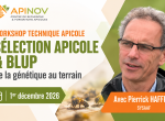 Workshop : Sélection apicole et BLUP - APINOV