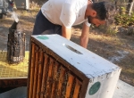 Journée découverte de l'apiculture