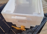 Bac à désoperculer plastique + robinet
