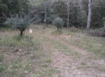 Emplacement d'hivernage 
