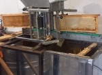 Machine desoperculer Daisy Lega