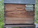 Ruches Dadant 10 c