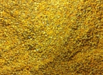 Pollen français sec toutes fleurs