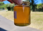 Miel de coriandre