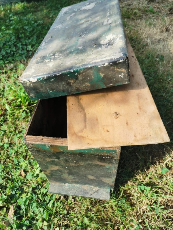 5 ruchettes pièges 5 cadres Hoffman Langstrot