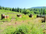 Miel de montagne