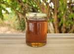 Miel de forêt de Sologne