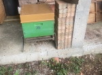 Vente ruches peuplées