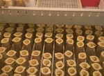 Cellules royales et reines vierges