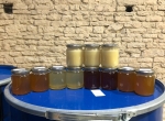 Miels de colza, acacia, fleurs, châtaignier et tilleul 2025