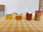 Miels de tilleul, coriandre, tournesol et colza