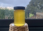 Miel de tilleul Bio