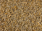 Pollen sec