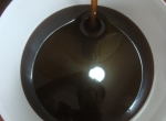 Miel de sarrasin
