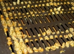 Recherche propolis 